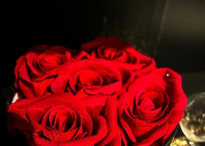 Blackroom De Luxe 50 Nuances De Grey *