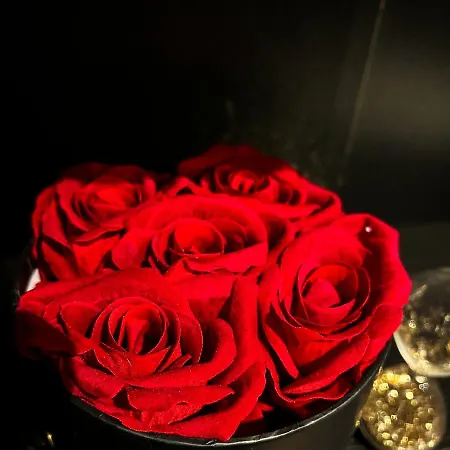 Blackroom De Luxe 50 Nuances De Grey *