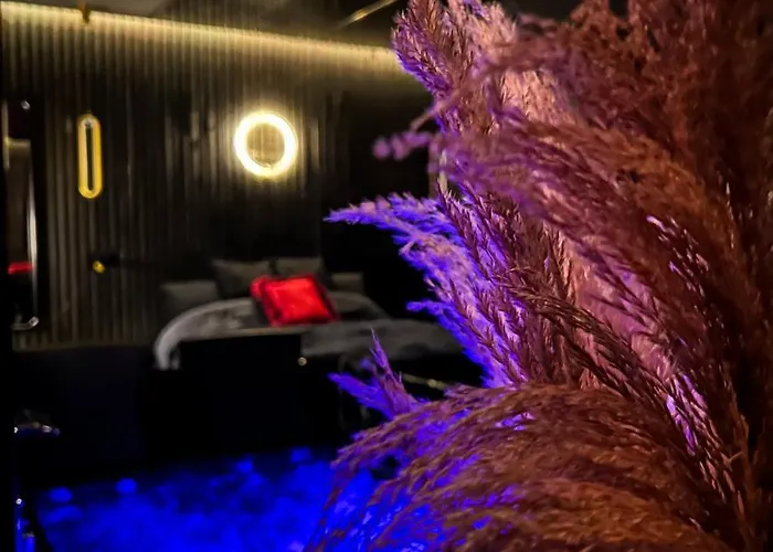 Blackroom De Luxe 50 Nuances De Grey Apartment Le Havre